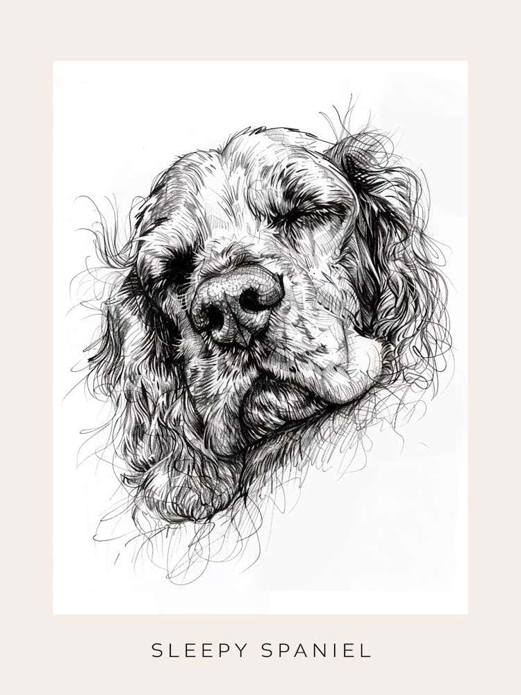 Sleepy Spaniel Minimalist Line Sketch Poster