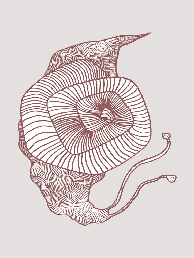 Symbiosis