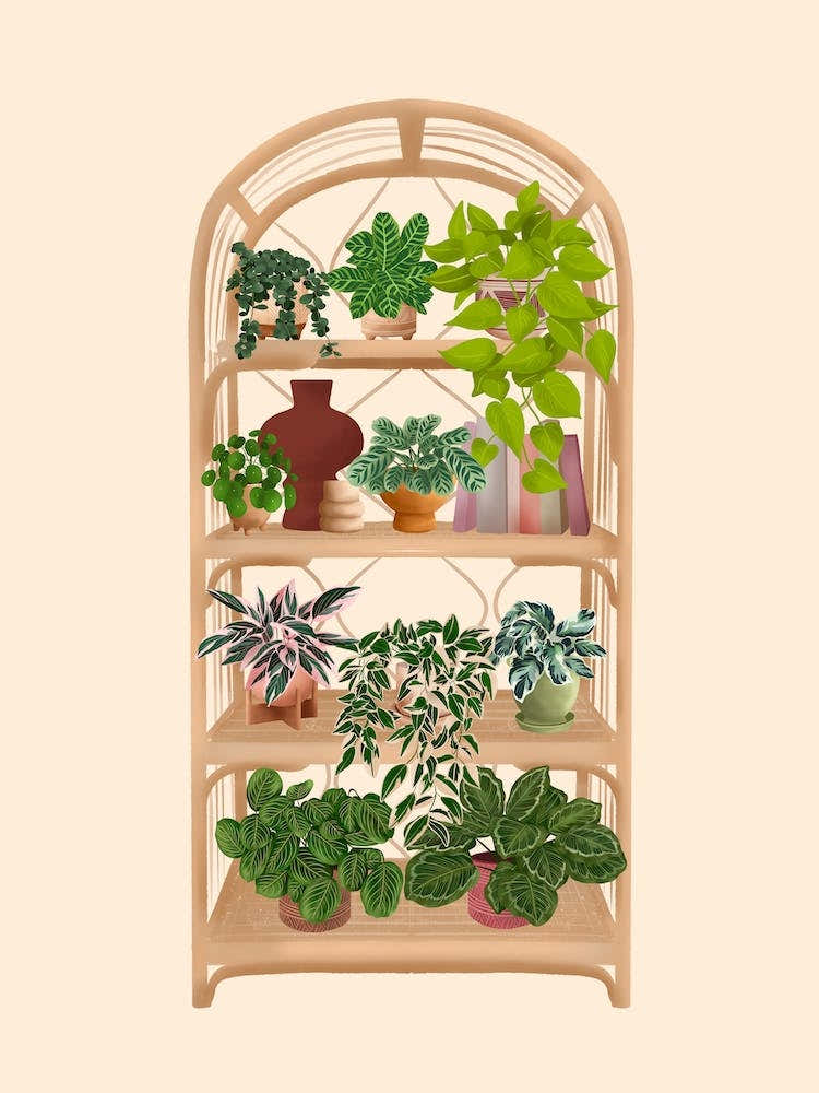 Plant Shelf 9