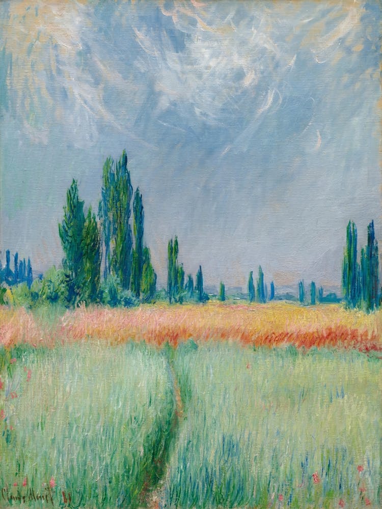 Champ De Blé (1881)