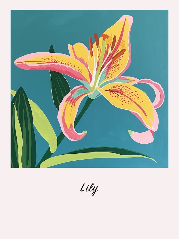 Lily 2 Square Flower Illustration Poster