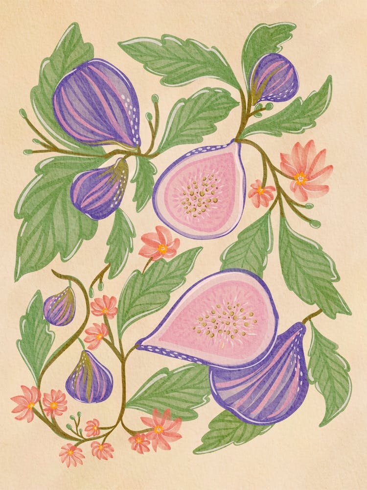 Figs And Flowers
