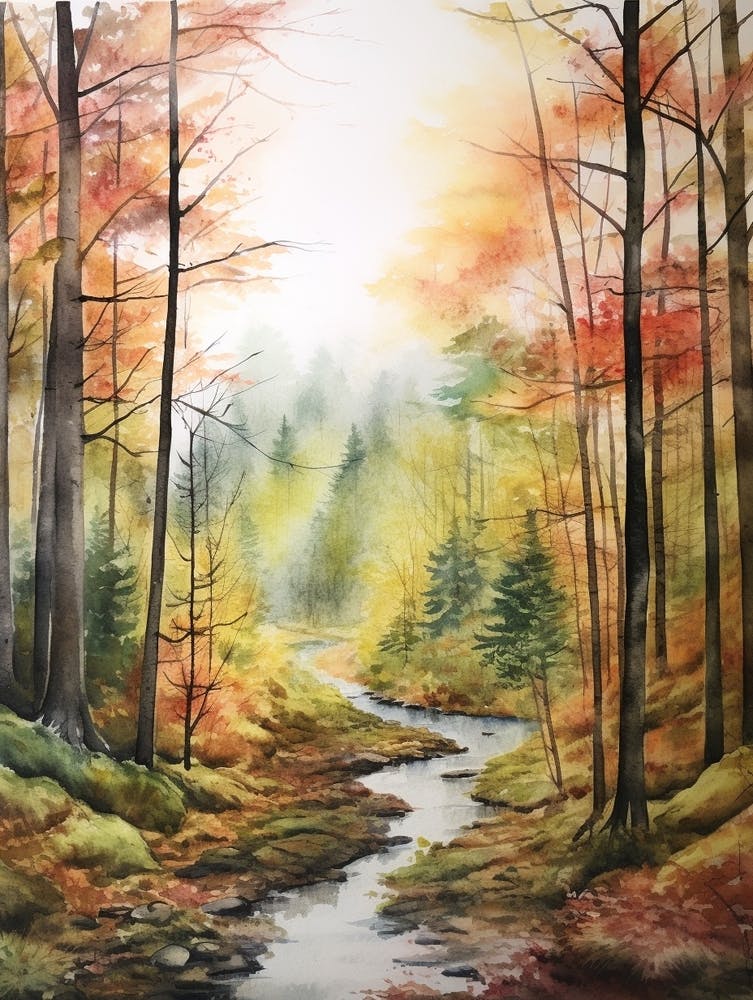 Autumn Forest Landscape The Bavarian Forest Germany