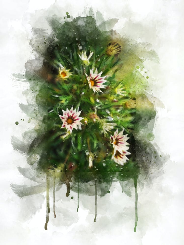 Flowers watercolor 6. Art botanical watercolor photography.