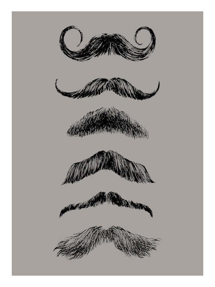 Moustaches Print