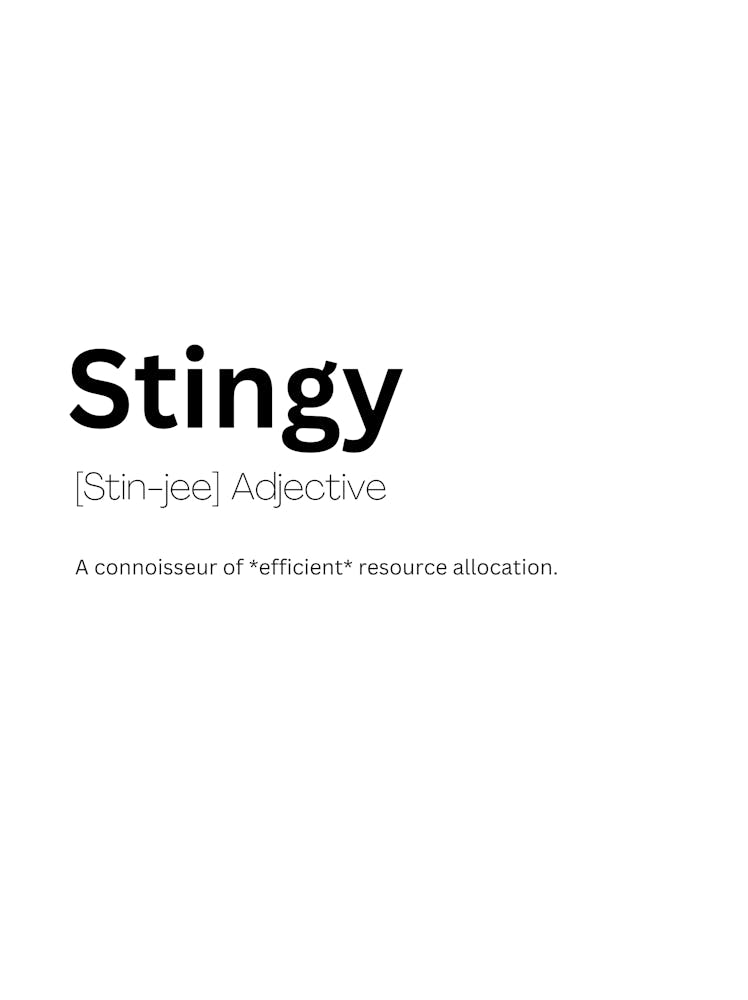 Stingy Definition Meaning