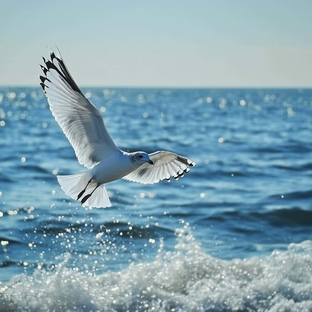 Seagull Flying Over The Ocean
