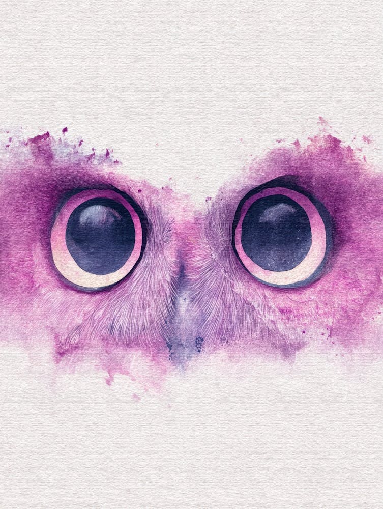 Owl Canvas Print 1
