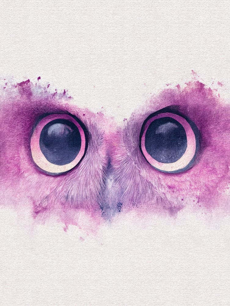 Owl Canvas Print 1