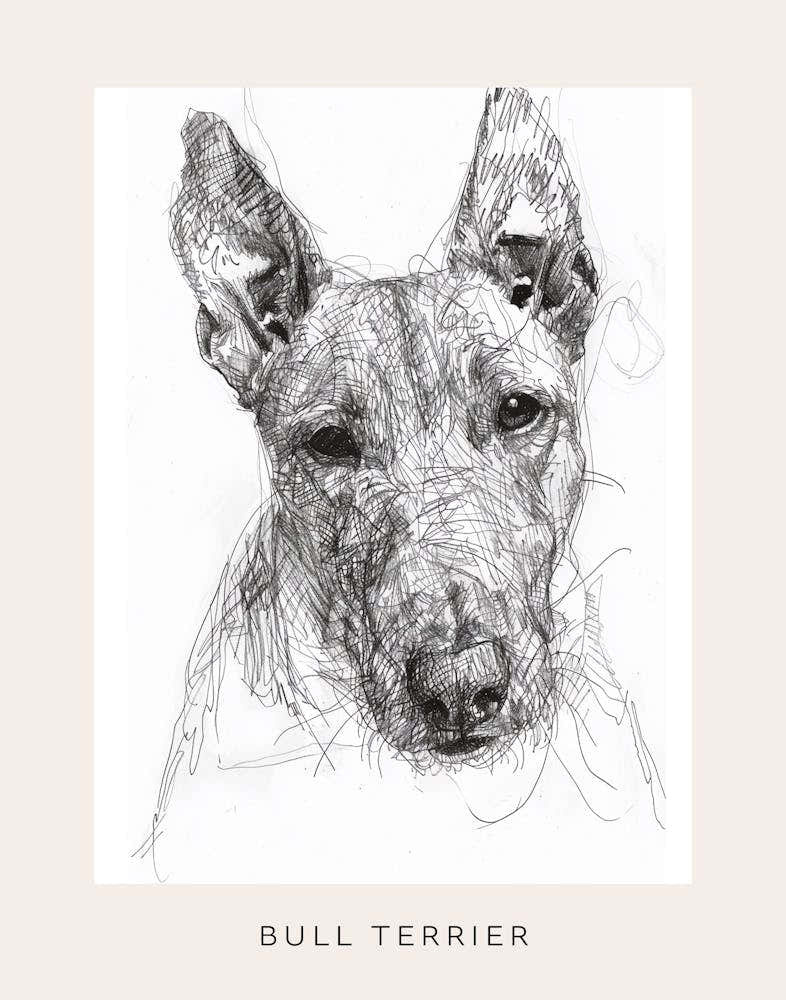 Bull Terrier Dog Line Sketch 1 Poster