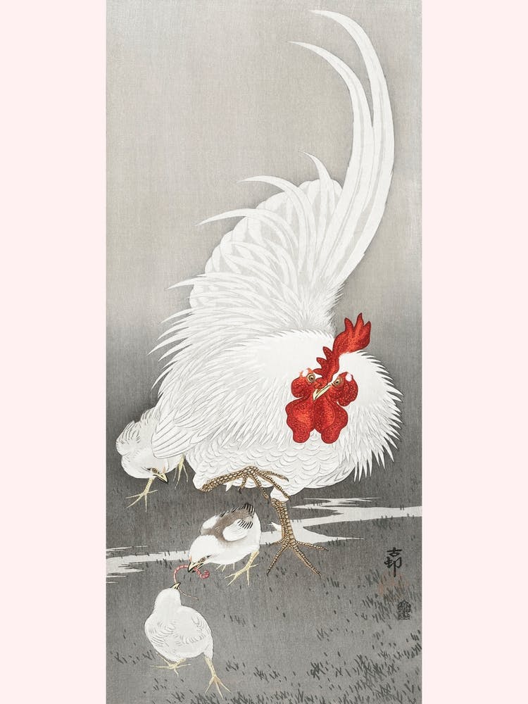 Rooster And Three Chicks (1900 1910), Ohara Koson