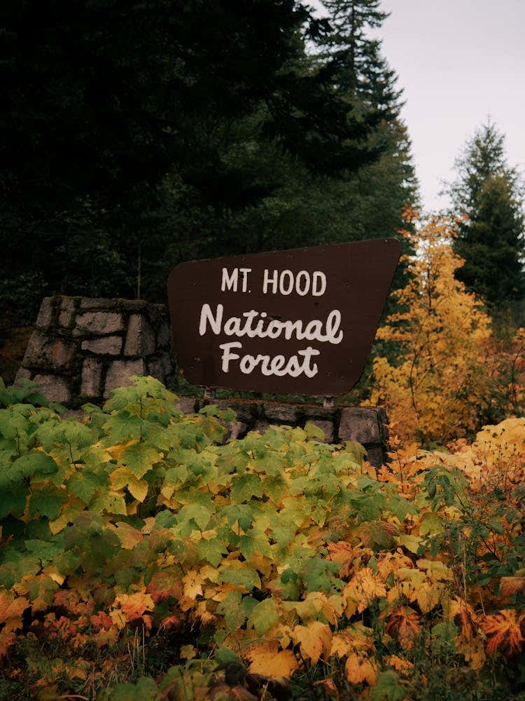 Mt Hood National Forest Service Sign Oregon