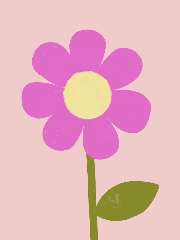 Pink Flower