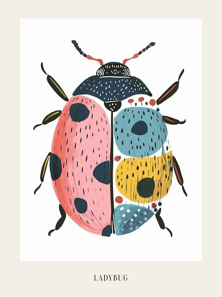 Colourful Insect Illustration Ladybug 22 Poster
