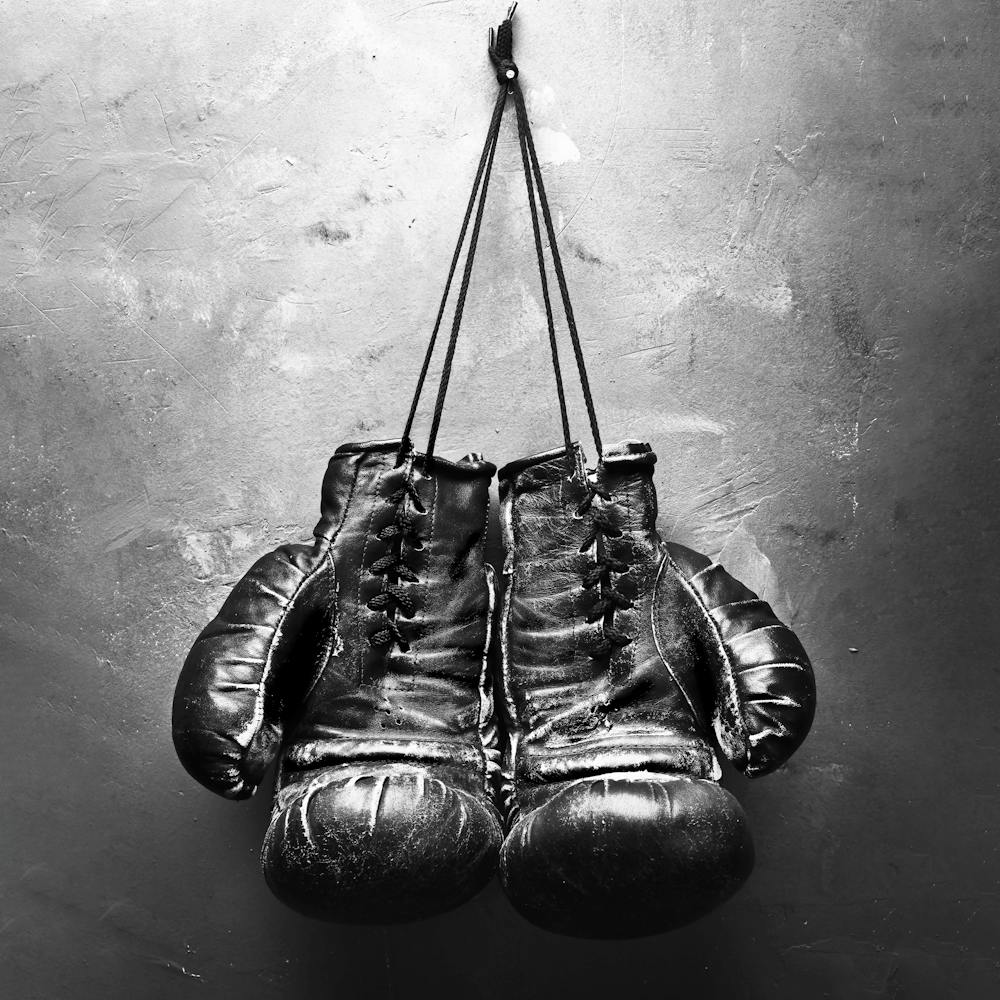 Black And White Boxing Gloves