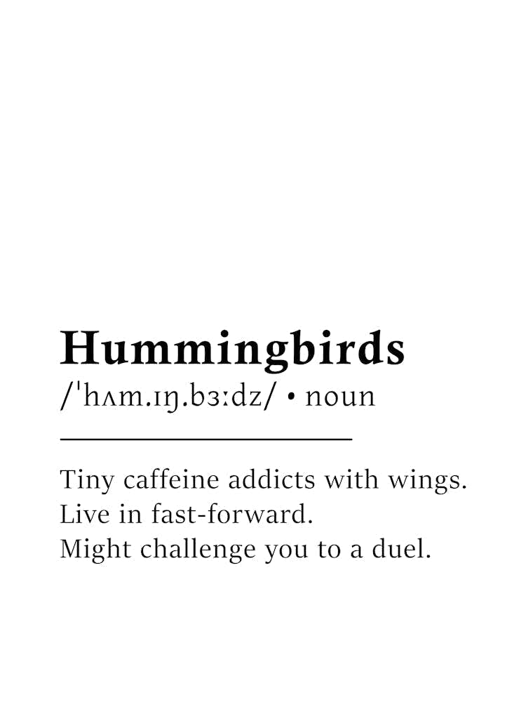 Hummingbirds Definition Poster - Dictionary