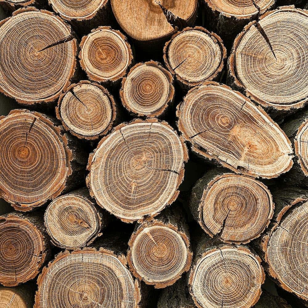 Log Tree Rings Square