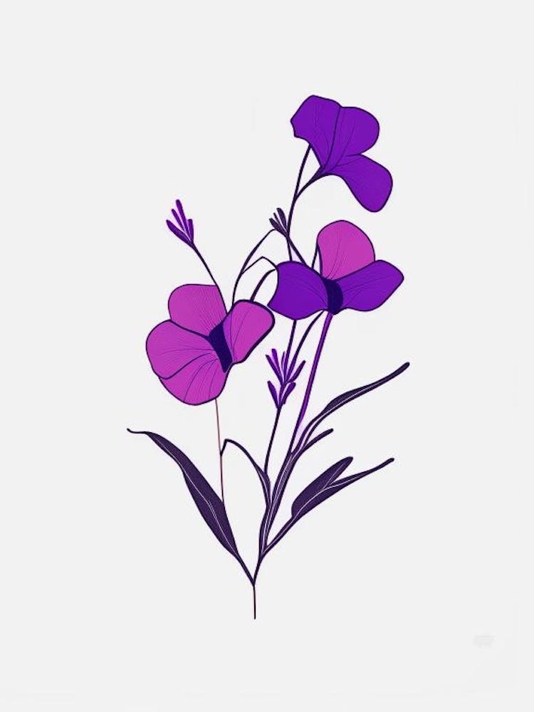 Vinca Floral Minimal Line Drawing 2 Flower