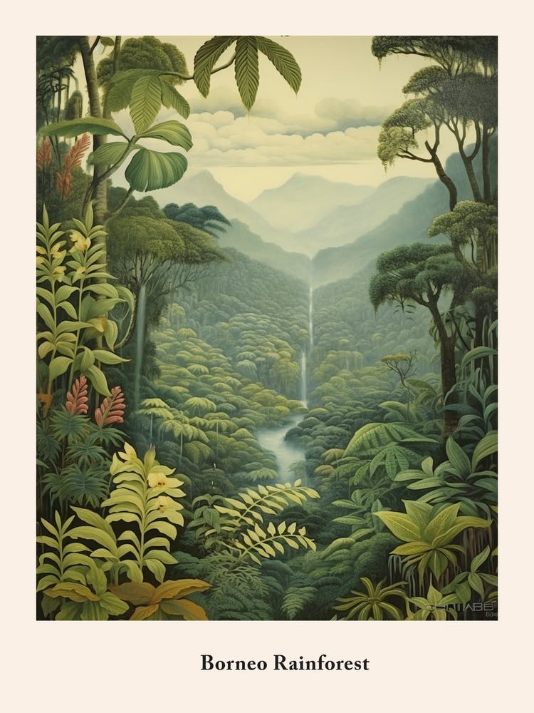Borneo Rainforest