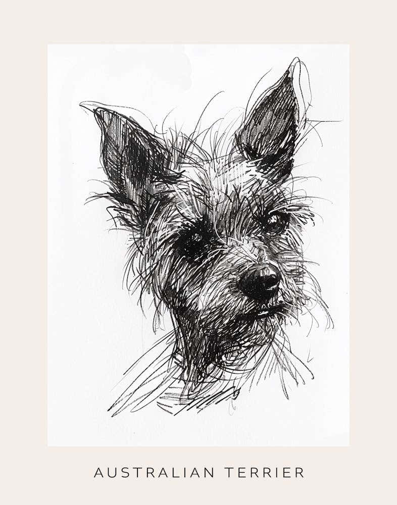 Australian Terrier Line Sketch 3 Poster