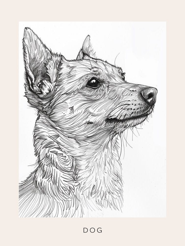 Furry Wire Haired Dog Line Sketch 1 Poster
