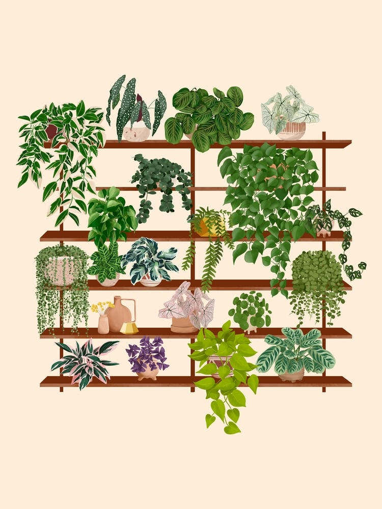 Plant Goals Shelf