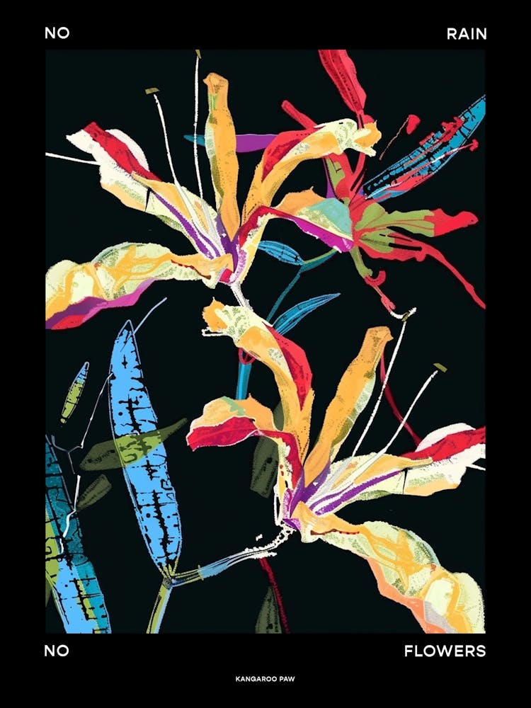 No Rain No Flowers Poster Kangaroo Paw 2