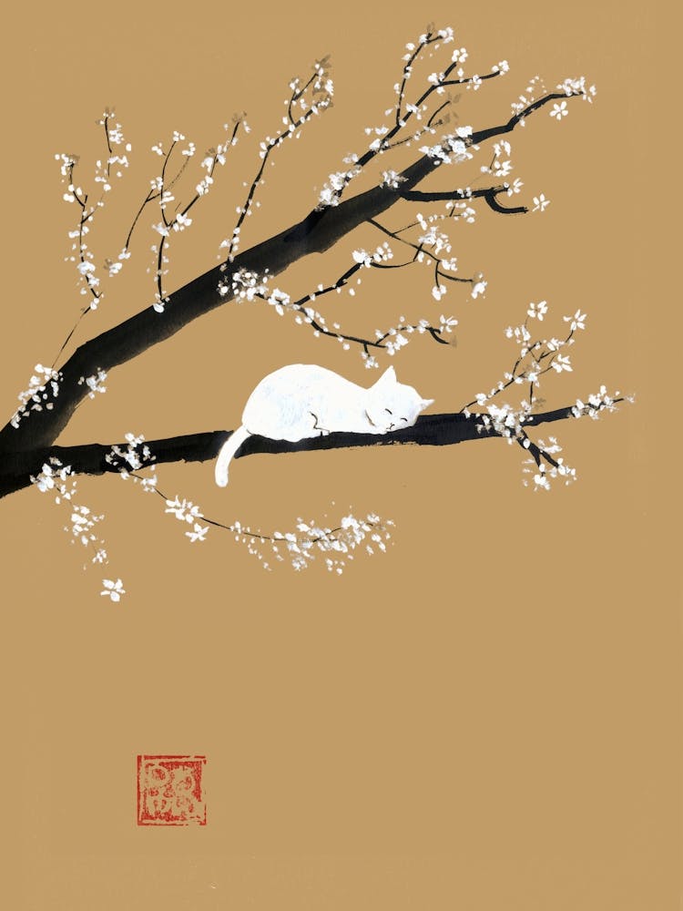 White Cat In The Tree