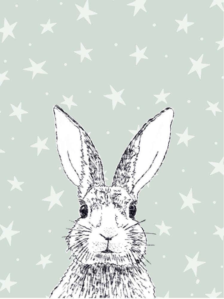 Rabbit With Stars