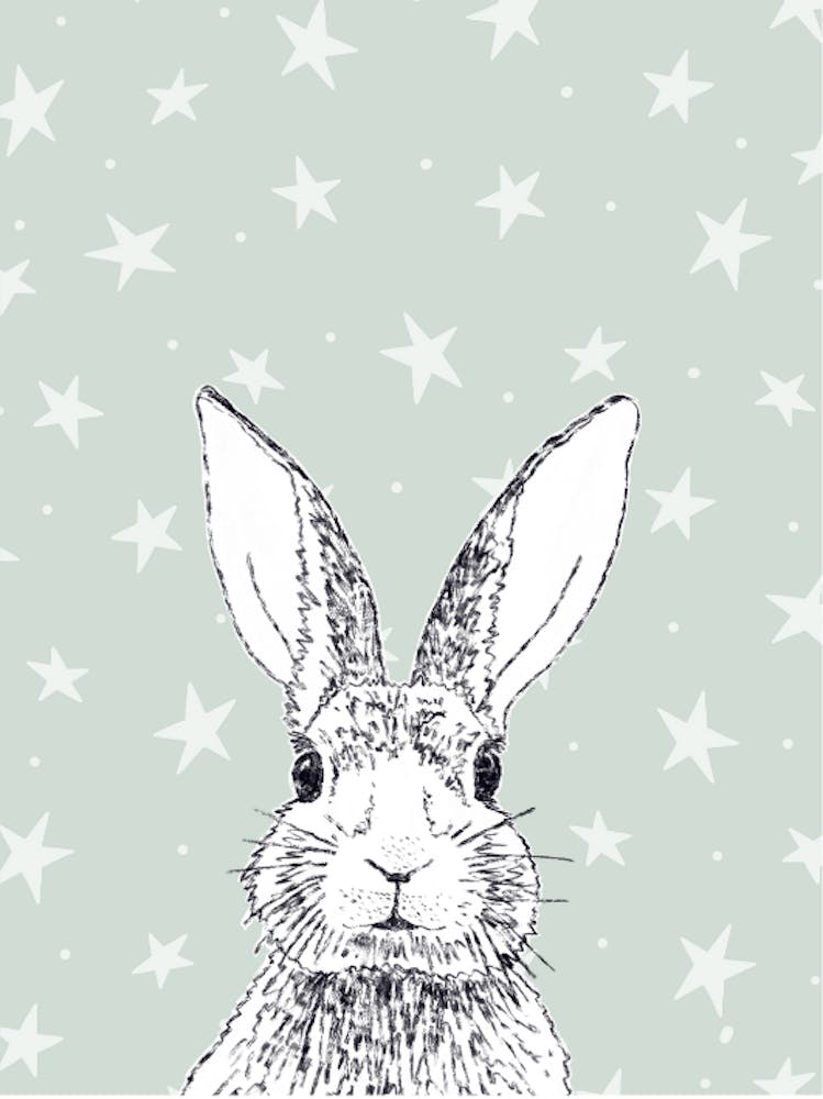 Rabbit With Stars