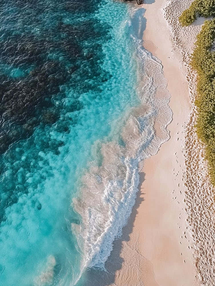 Aerial View Of A Beach 166