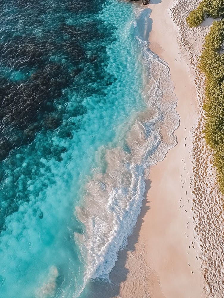 Aerial View Of A Beach 166