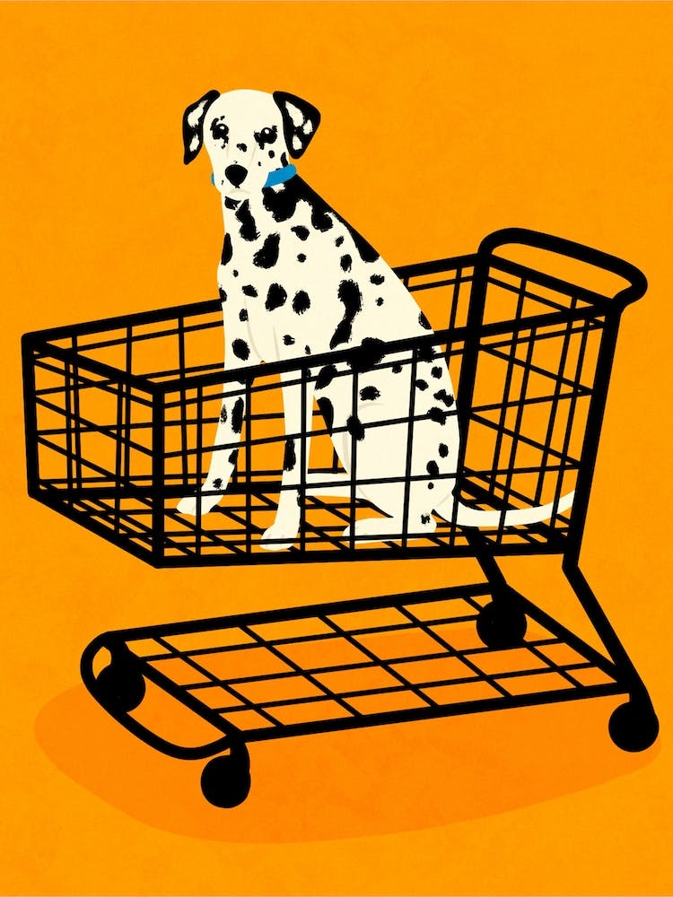Adopt Don'T Shop