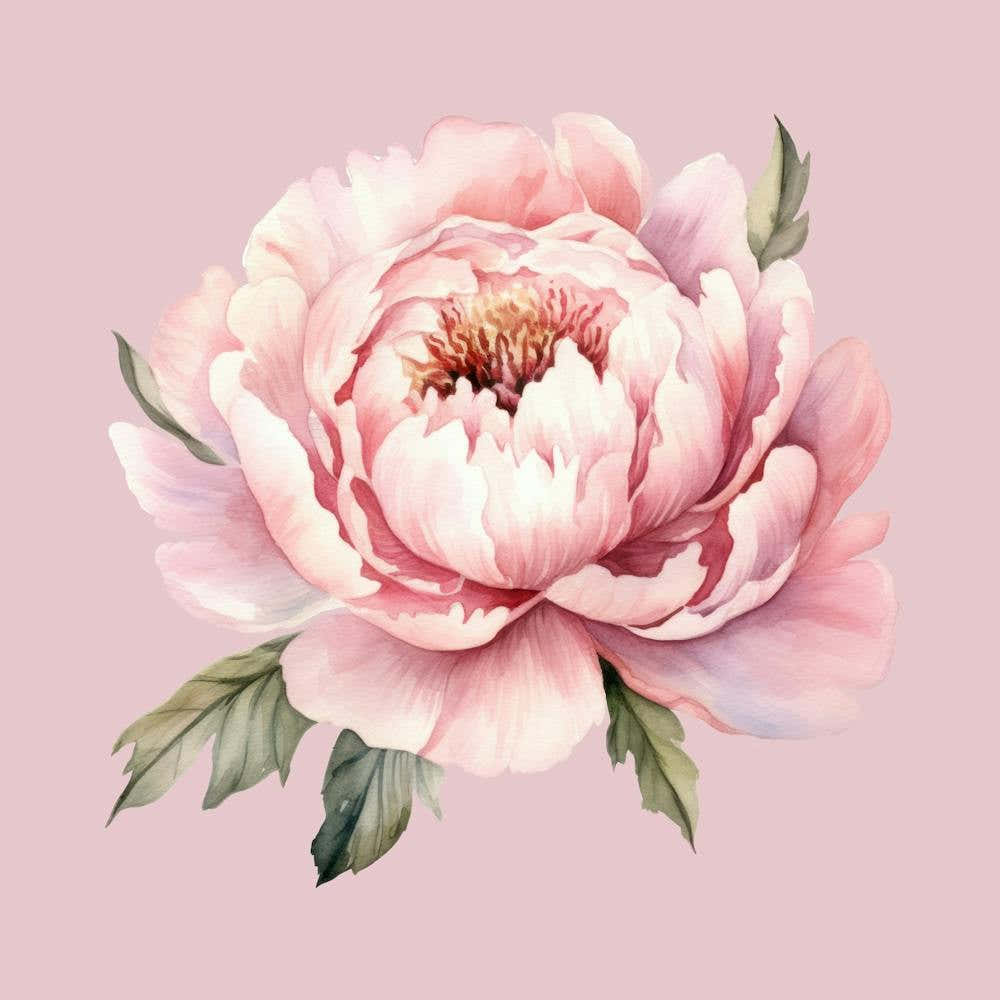 Pink Peony 3