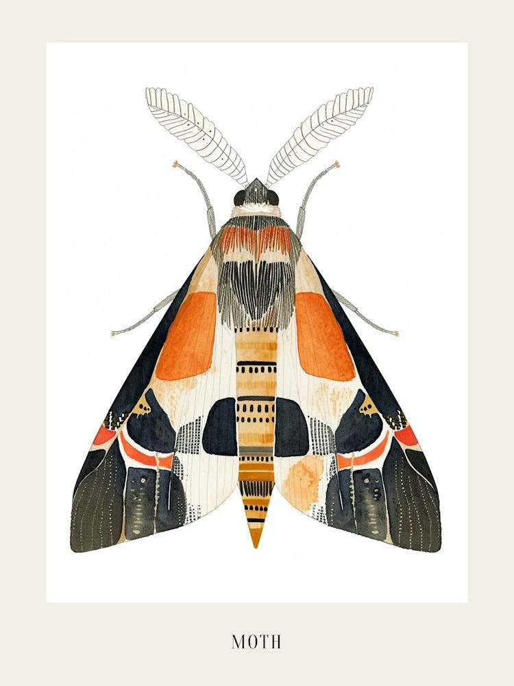 Colourful Insect Illustration Moth 48 Poster