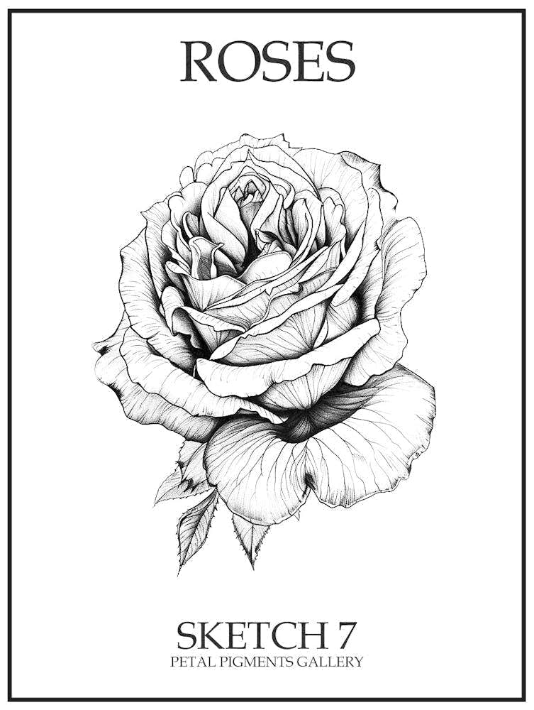 Roses Sketch 7 Poster