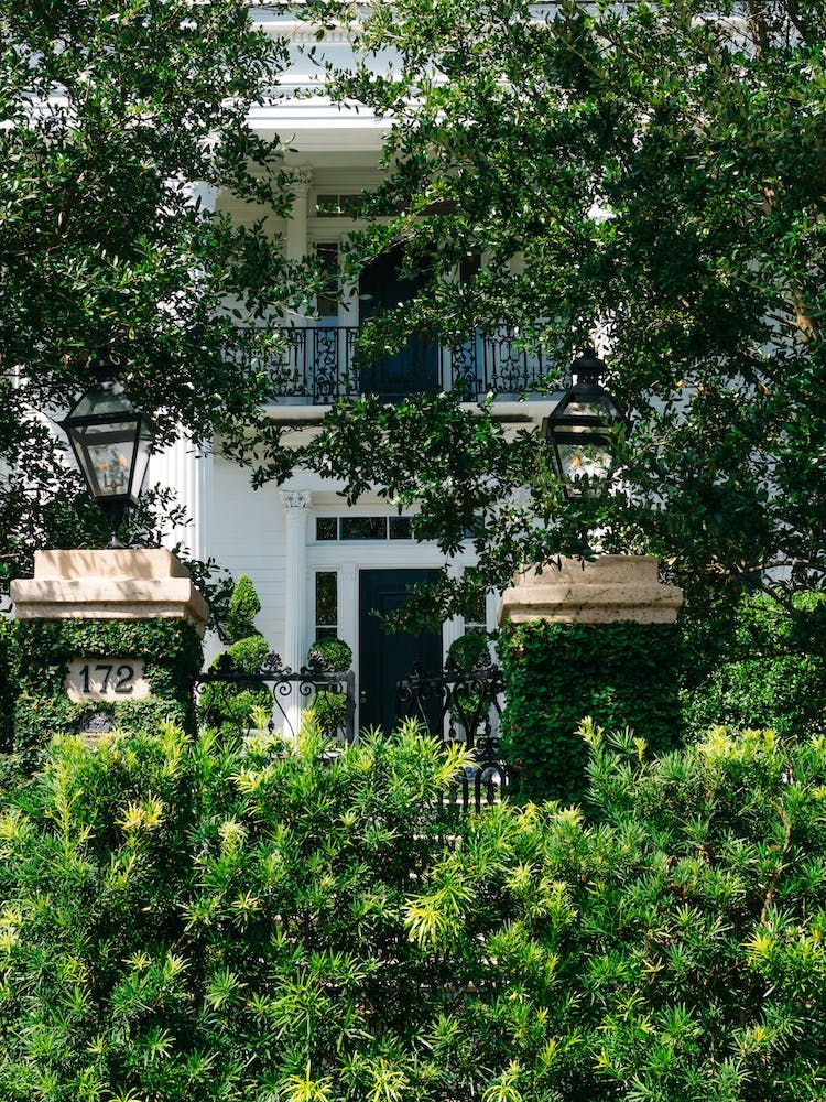 Charleston Architecture XIII