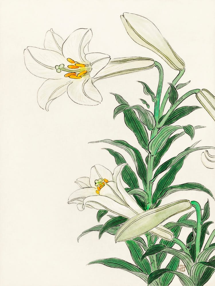 Lilies (1912 1930), Ohara Koson