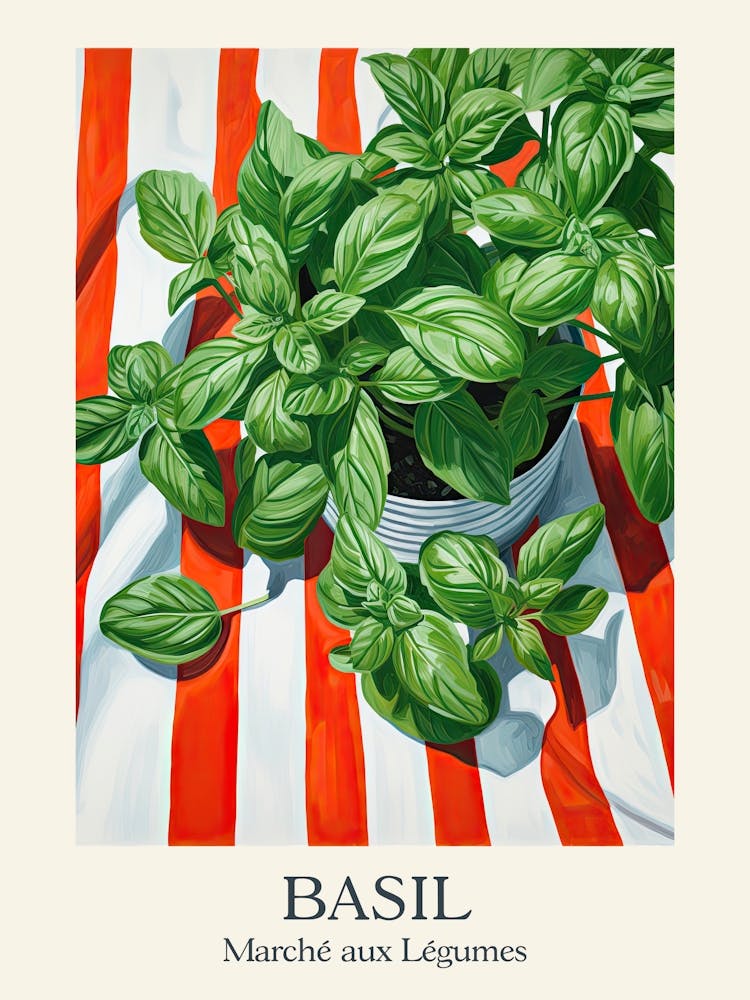 Marche Aux Legumes Basil Summer Illustration 2