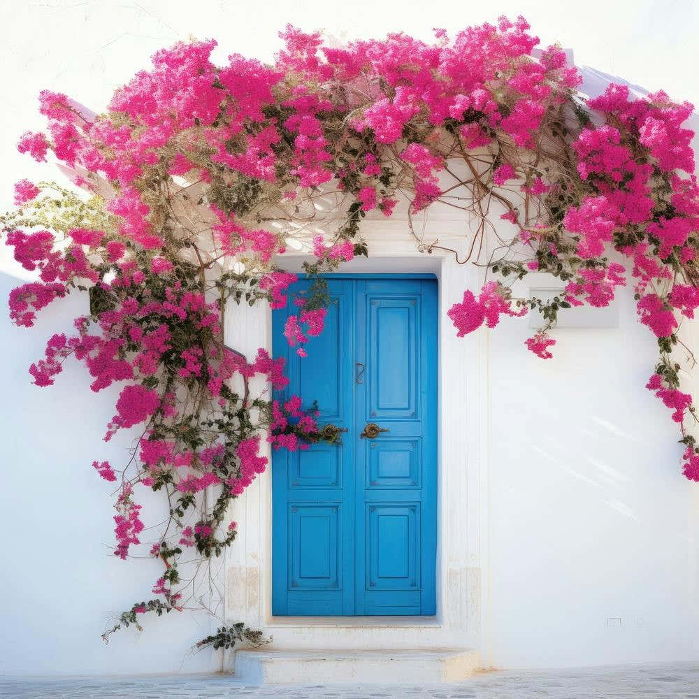 Blue Door With Pink Bougainvillea 1