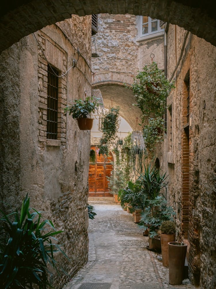 Botanical Small Street