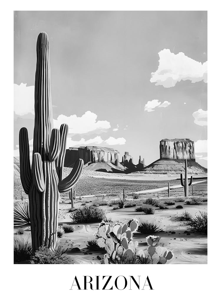 Arizona Landscape