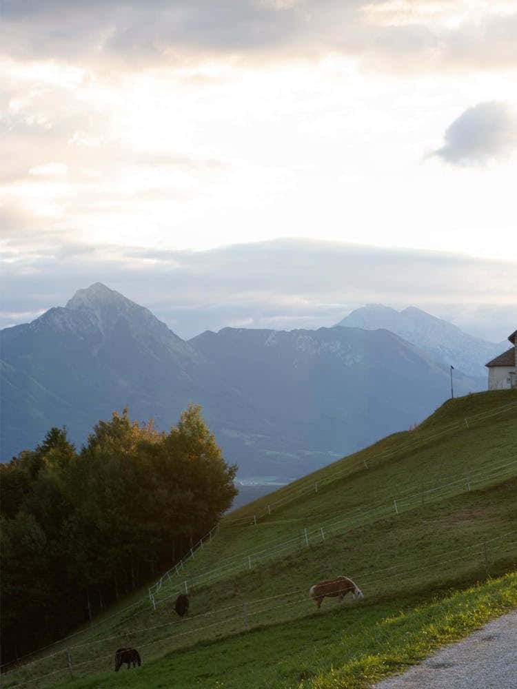House In The Mountains