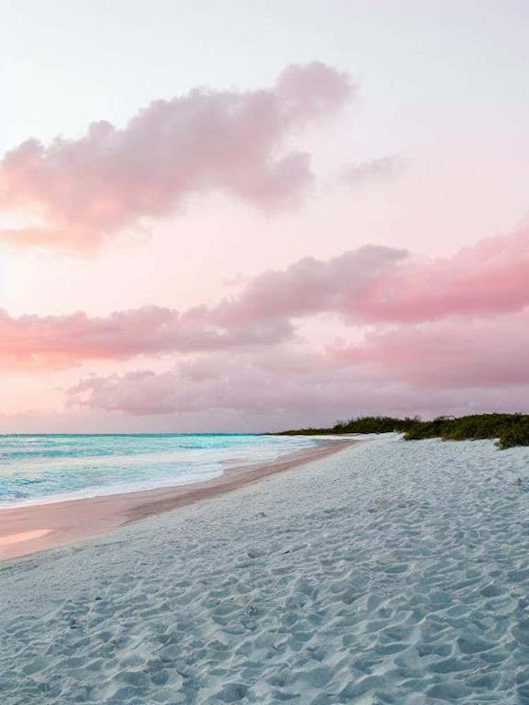 Long Bay Beach, Turks And Caicos Pink Photography 1