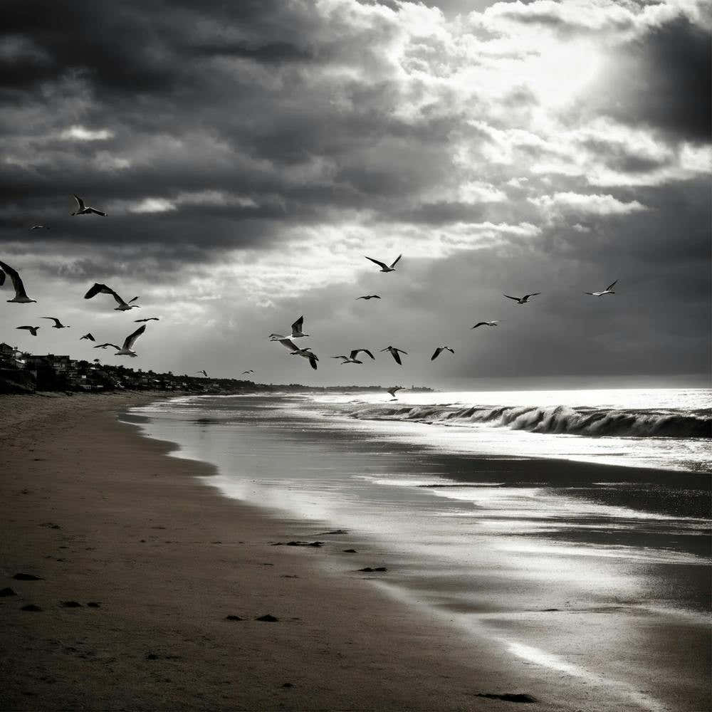 Calm Beach Black And White