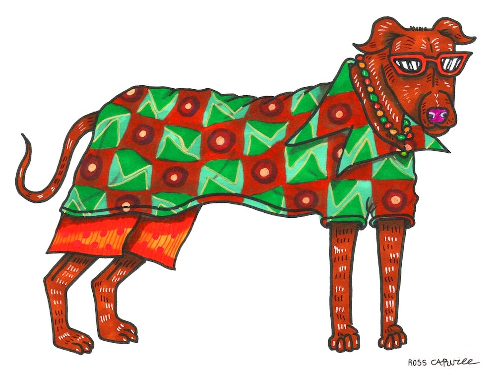 Very Fashionable Dog