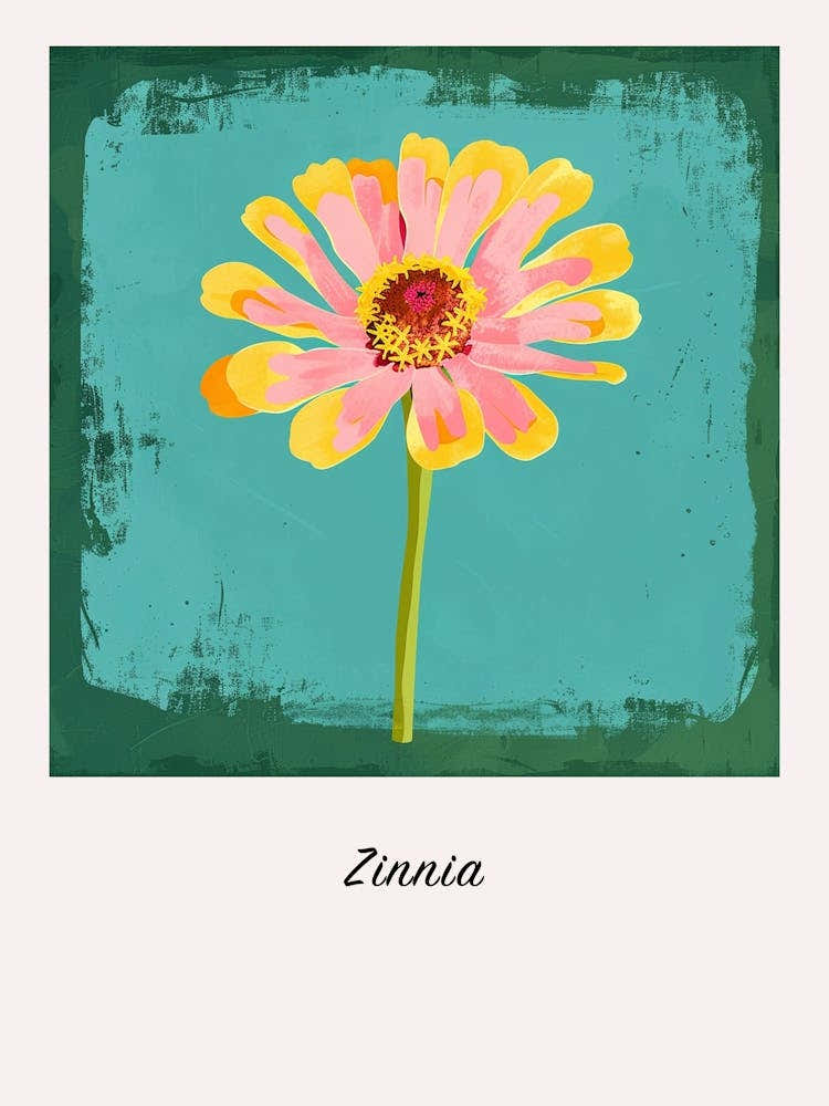 Zinnia Square Flower Illustration Poster