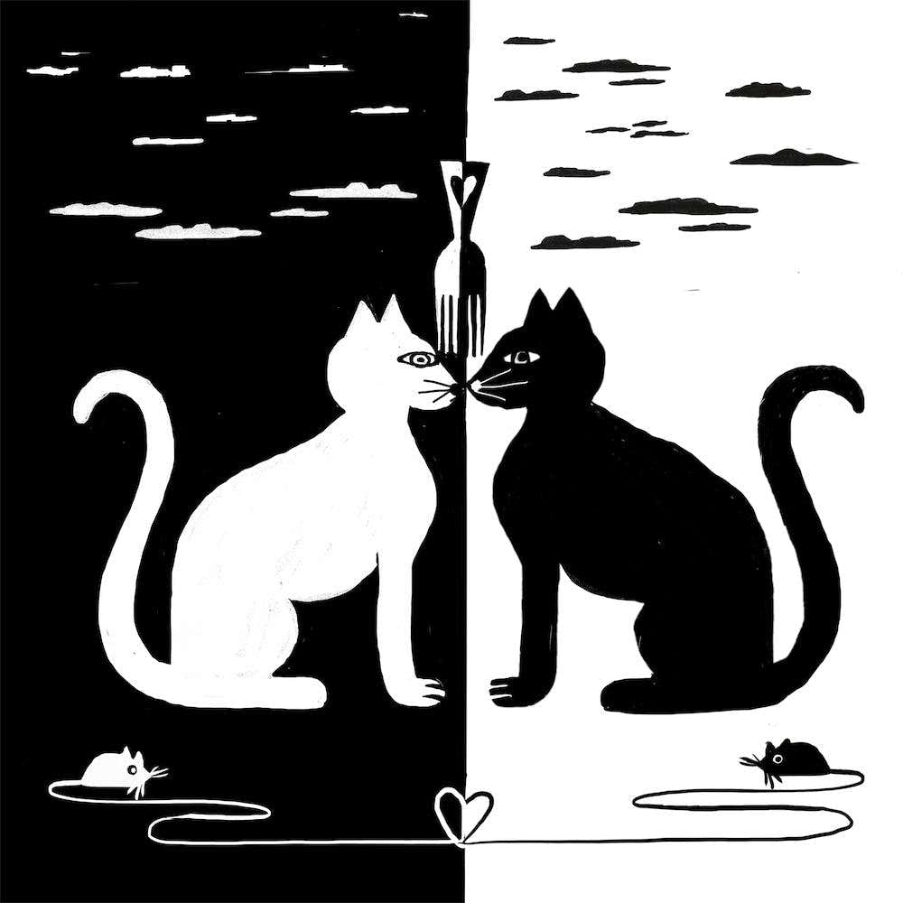 Black White Cat Mouse Love