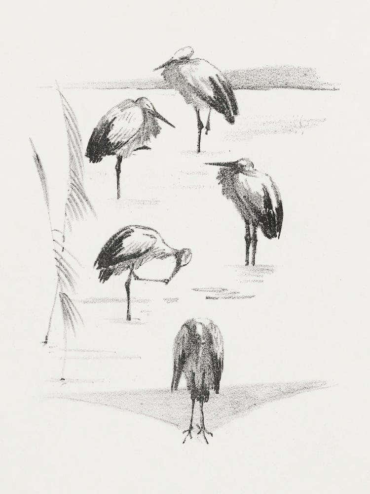 Greeting Card With Five Storks (1878–1917), Theo Van Hoytema