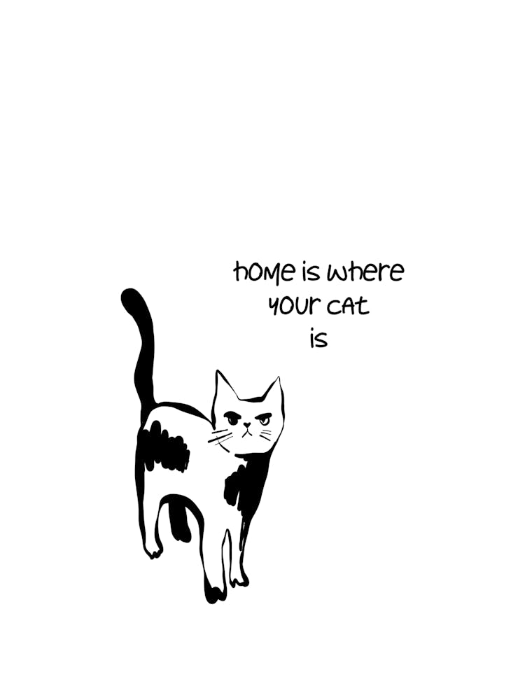 Beautiful Home Is Where the Cat Is Poster, Crazy Cat Lady Wall Art, Cat Lover Gift, Meow Kitty Decor